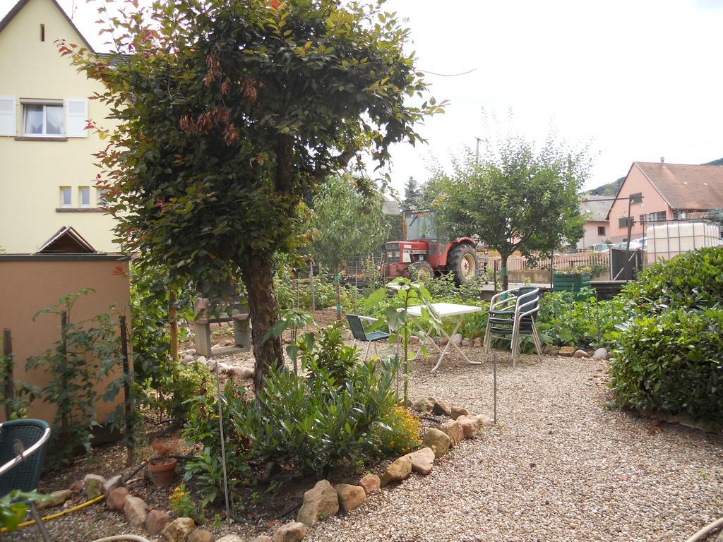 Rentz Martine Riquewihr Exterior foto